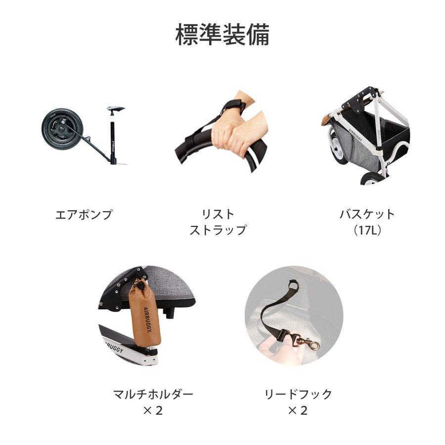 DOME エアバギー ドーム3 プレミア レギュラー セット品 特典あり