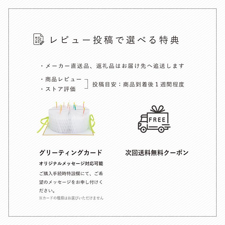 DOME エアバギー ドーム3 ラージ セット品 DOME3 LARGE 特典あり