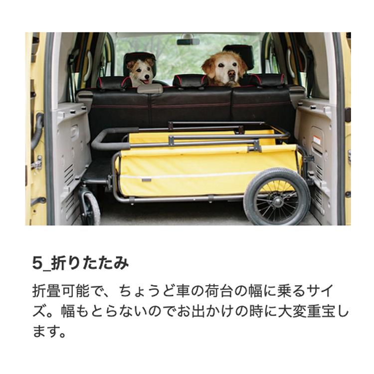 Cube エアバギー CARRIAGE キャリッジ 台車+ルーフセット 特典 Cube エアバギー CARRIAGE キャリッジ 台車+ルーフセット 特典
