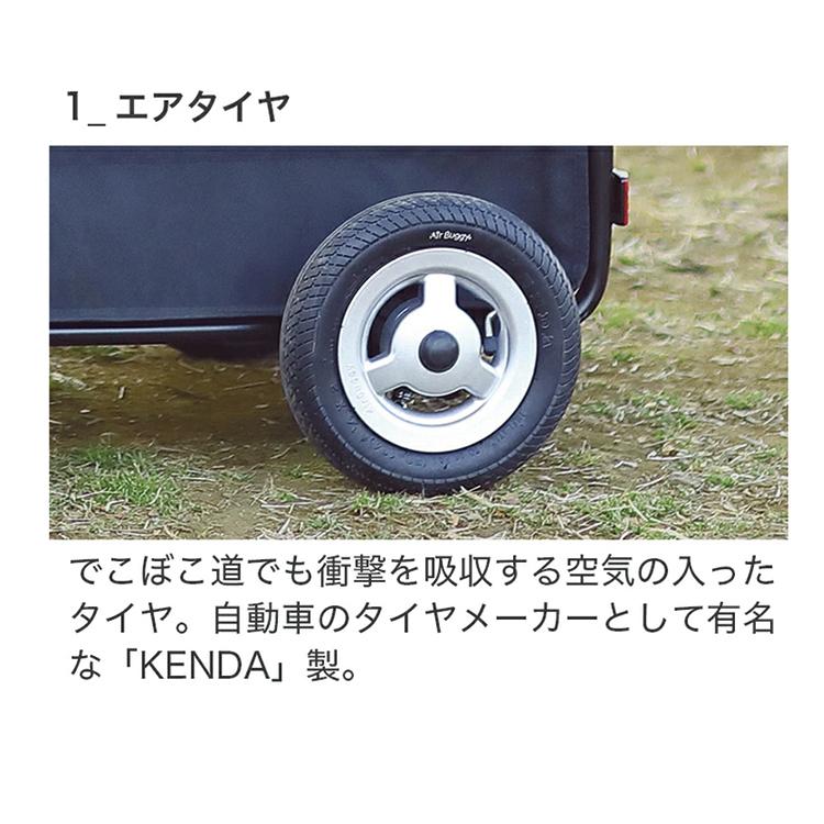 Cube エアバギー TWINKLE トゥインクル 特典あり ドッグ 大きめ