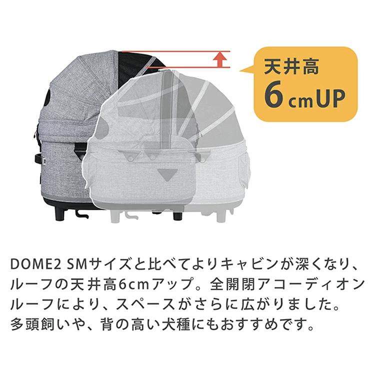 DOME エアバギー ドーム3 レギュラー セット品 DOME3 REGULAR 特典あり