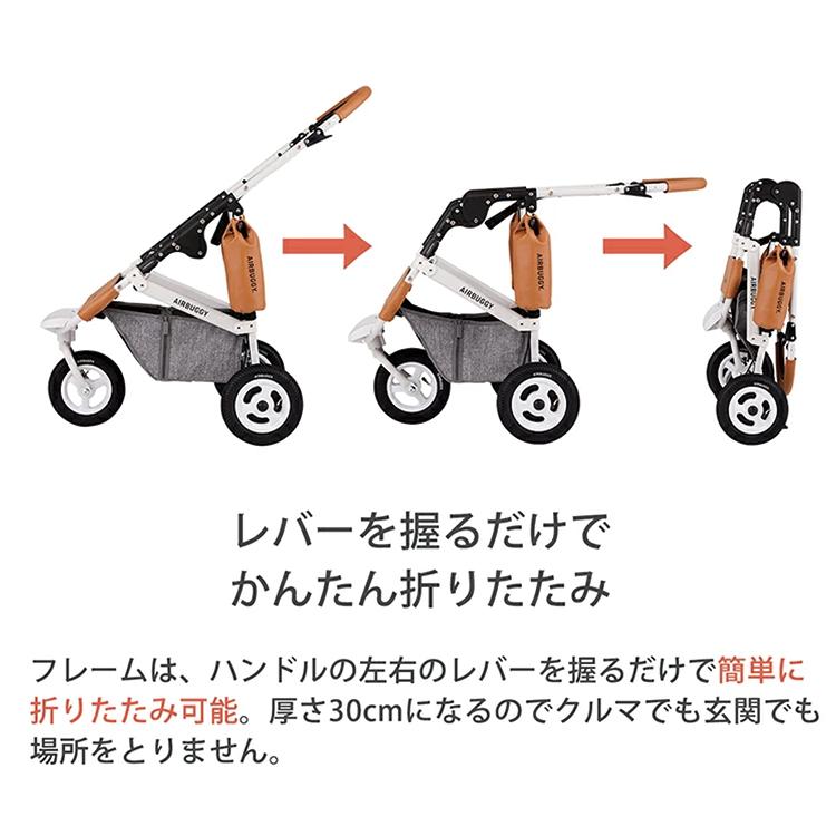DOME エアバギー ドーム3 レギュラー セット品 DOME3 REGULAR