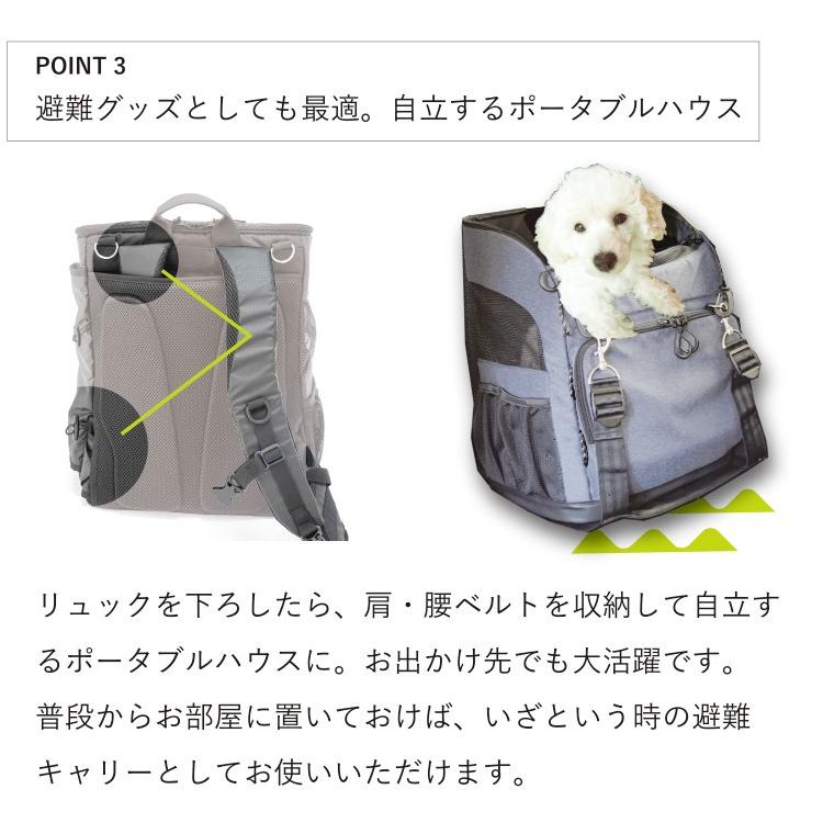 エアバギー　3way バックパックキャリー　backpackcarrier　特典あり　リュック　小型犬　コンパクト　猫　フォーペット　AirBuggy for pet 公式取扱販売店｜detour｜10