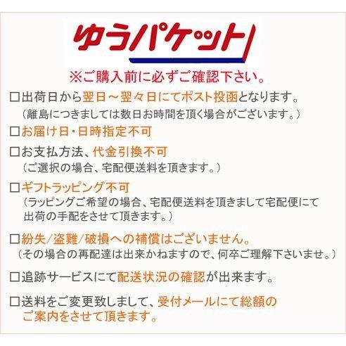 坪田パール QUEUE 2-26003-25 スティック スリムオイルライター ピンク×グリーン ゆうパケット対象商品（1個まで）｜deva-online｜07