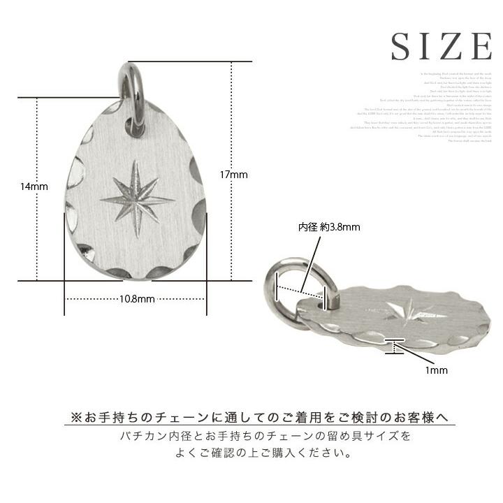 ペンダントトップ プラチナ メンズ ネックレス ペンダント トップ PT950 太陽 レディース プラチナペンダント ペアの画像
