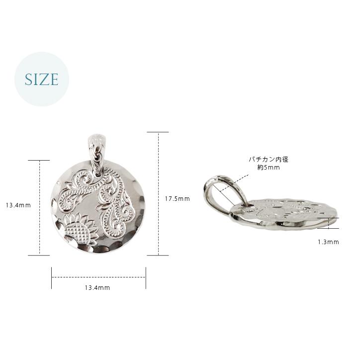 DEVAS 【10/27 値上げ対象】 ペンダントトップ プラチナ