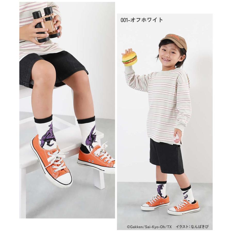 最強王図鑑 靴下 子供 ソックス コラボ 対戦できる 4枚セット キッズ 男の子 女の子 靴下 タイツ レギンス 靴下 デビロック devirock | devirock | 09