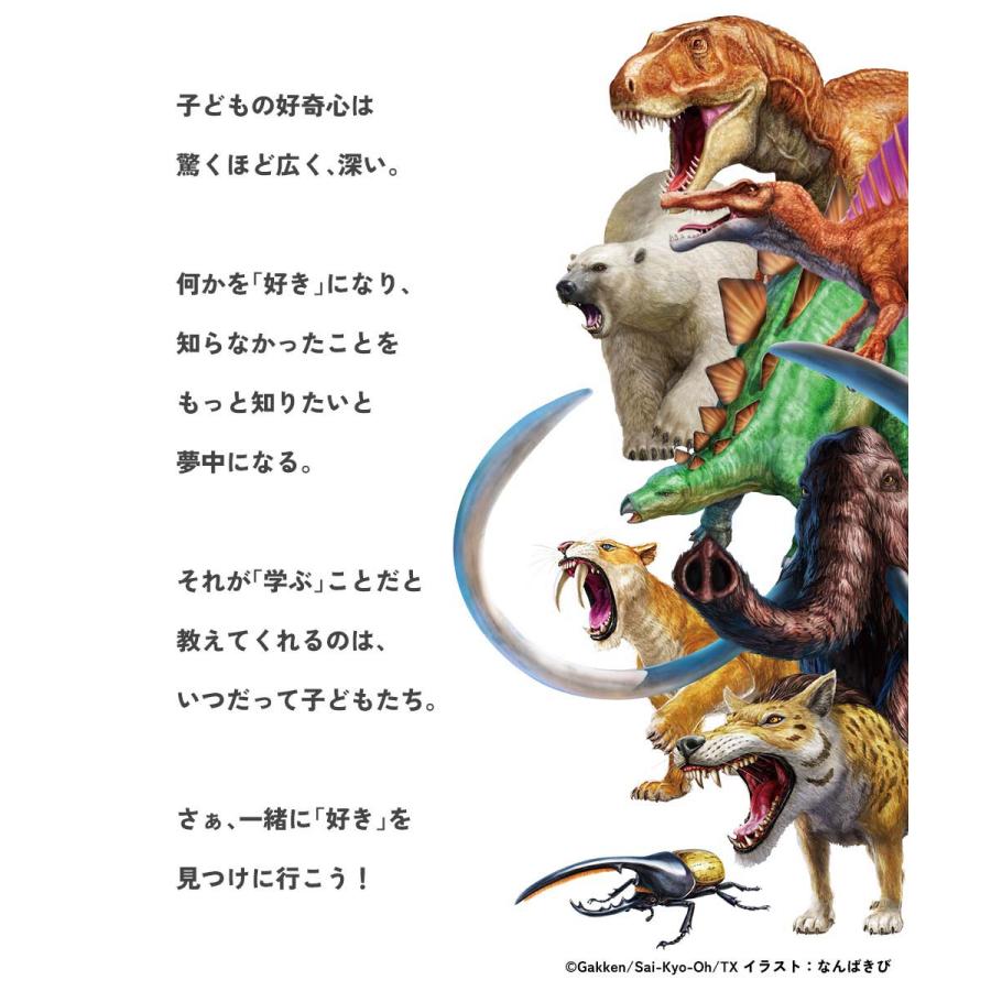 最強王図鑑 靴下 子供 ソックス コラボ 対戦できる 4枚セット キッズ 男の子 女の子 靴下 タイツ レギンス 靴下 デビロック devirock | devirock | 13