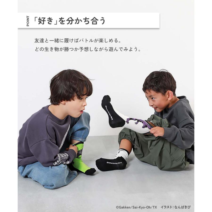 最強王図鑑 靴下 子供 ソックス コラボ 対戦できる 4枚セット キッズ 男の子 女の子 靴下 タイツ レギンス 靴下 デビロック devirock | devirock | 06