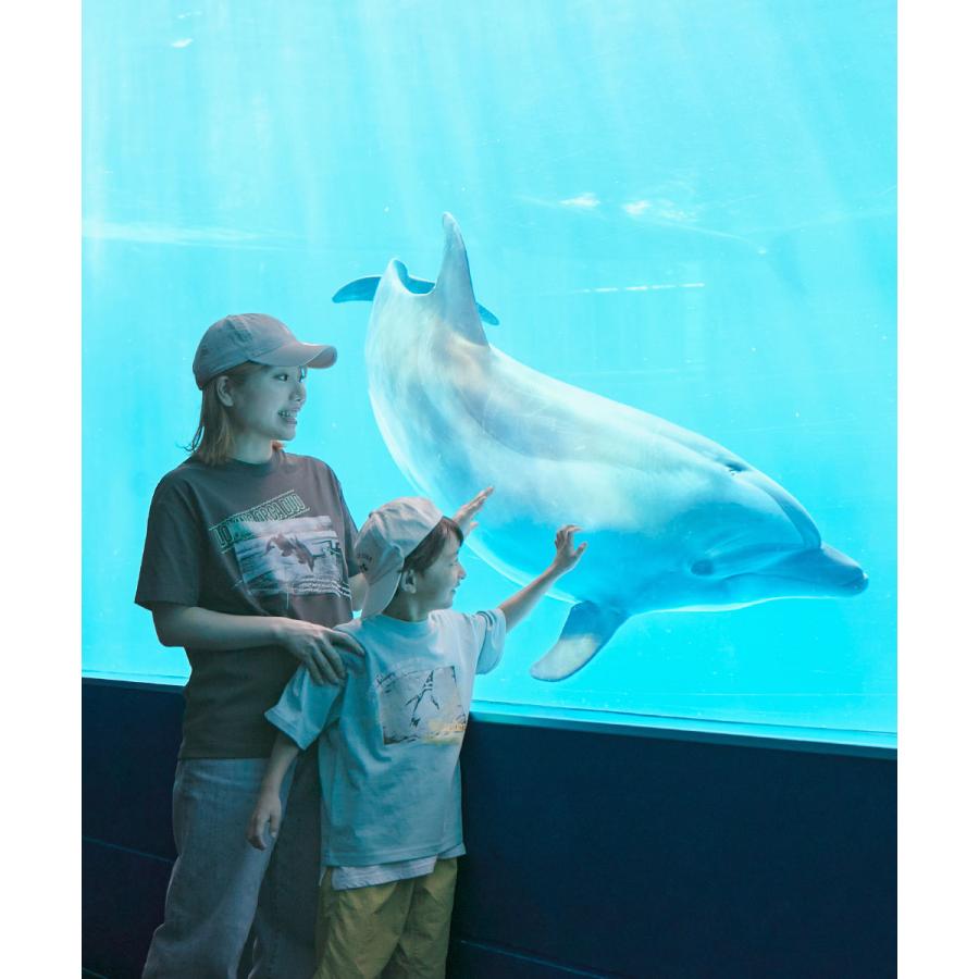 Tシャツ トップス 【神戸須磨シーワールドコラボ】色が変わるマジックプリント 接触冷感 2WAY大人フォトTシャツ デビロック devirock | devirock | 16