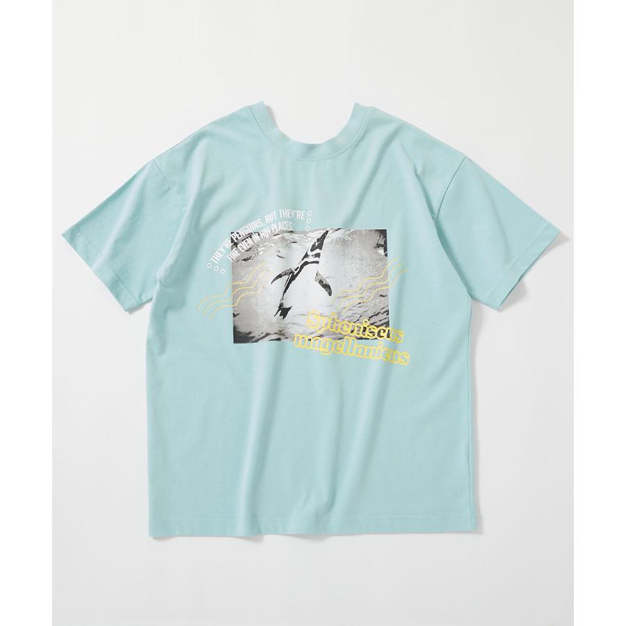 Tシャツ トップス 【神戸須磨シーワールドコラボ】色が変わるマジックプリント 接触冷感 2WAY大人フォトTシャツ デビロック devirock | devirock | 20