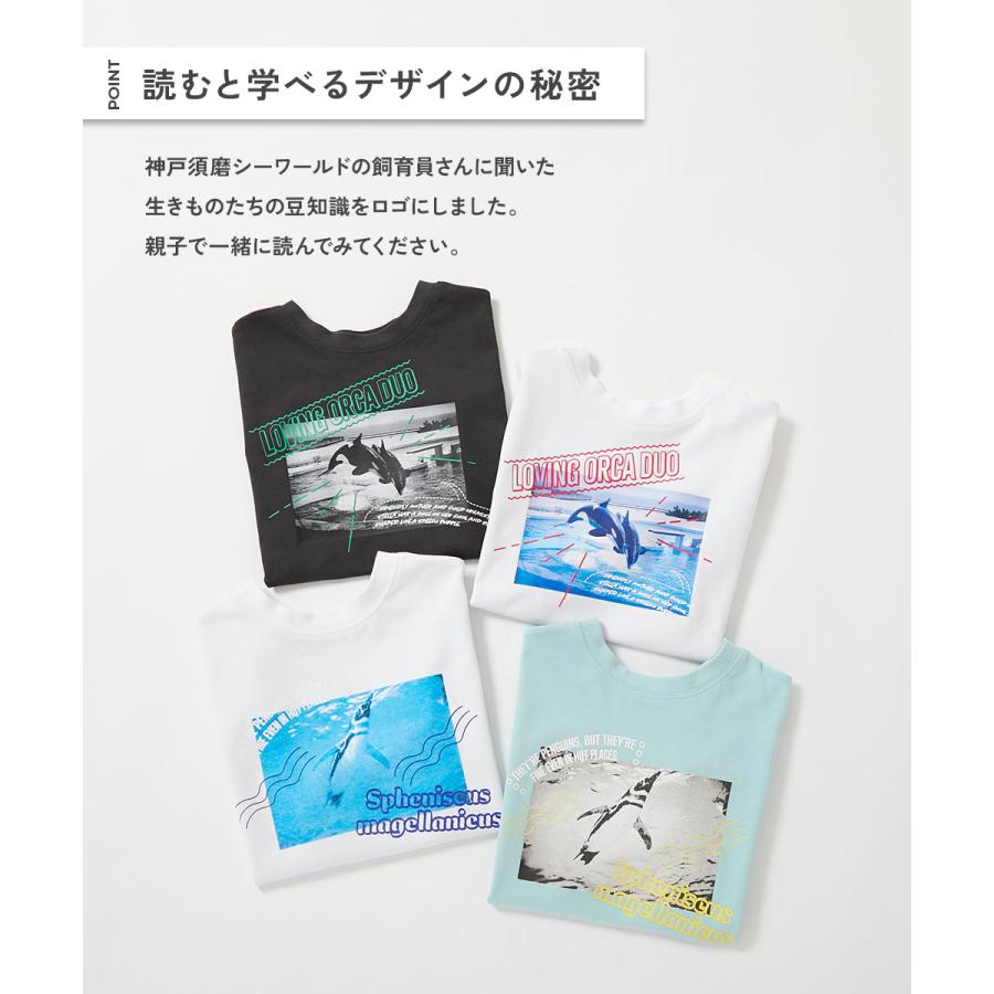 Tシャツ トップス 【神戸須磨シーワールドコラボ】色が変わるマジックプリント 接触冷感 2WAY大人フォトTシャツ デビロック devirock | devirock | 08