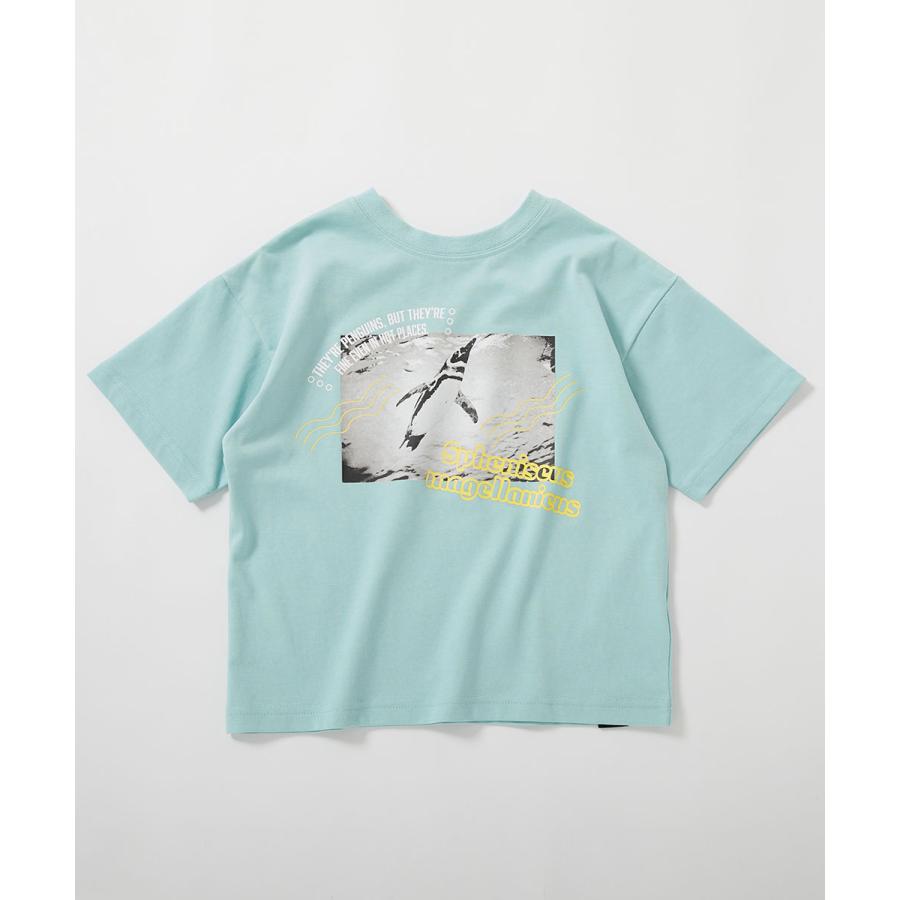 Tシャツ トップス 【神戸須磨シーワールドコラボ】色が変わるマジックプリント 接触冷感 2WAYフォトTシャツ キッズ 子供服 男の子 女の子  デビロック devirock | devirock | 21