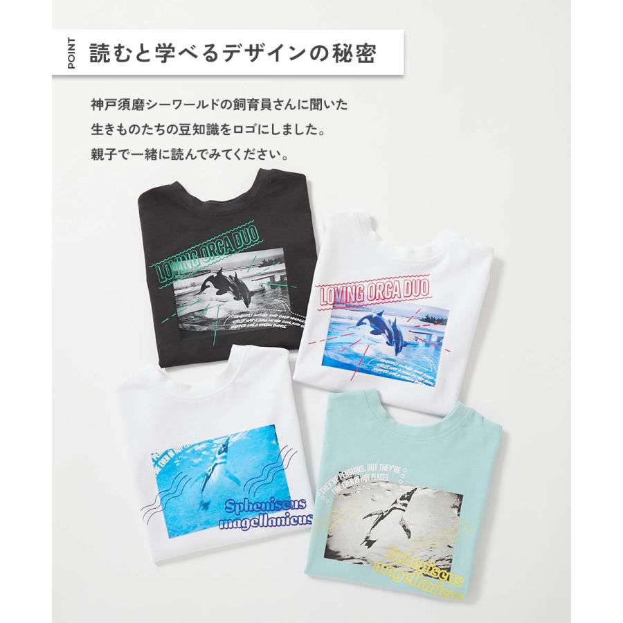 Tシャツ トップス 【神戸須磨シーワールドコラボ】色が変わるマジックプリント 接触冷感 2WAYフォトTシャツ キッズ 子供服 男の子 女の子  デビロック devirock | devirock | 08