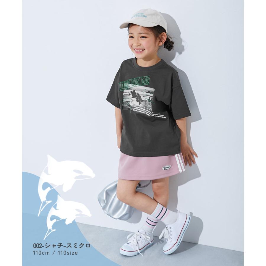 devirock（デビロック） Tシャツ トップス 【神戸須磨シーワールド