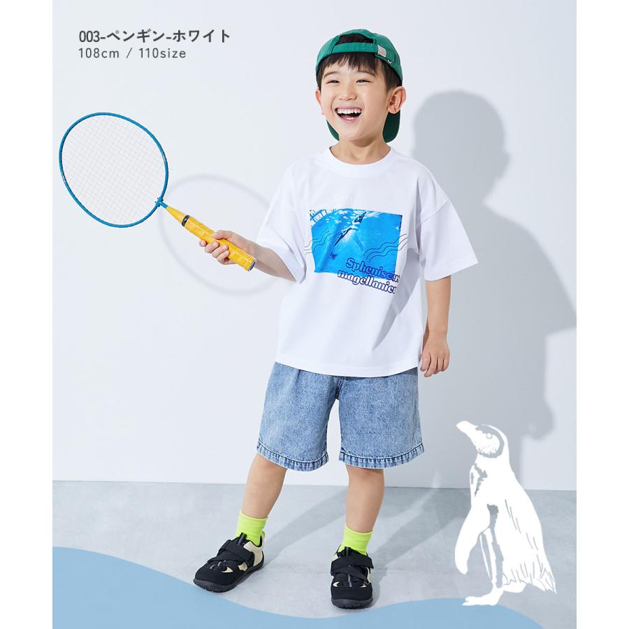 Tシャツ トップス 【神戸須磨シーワールドコラボ】色が変わるマジックプリント 接触冷感 2WAYフォトTシャツ キッズ 子供服 男の子 女の子  デビロック devirock | devirock | 13