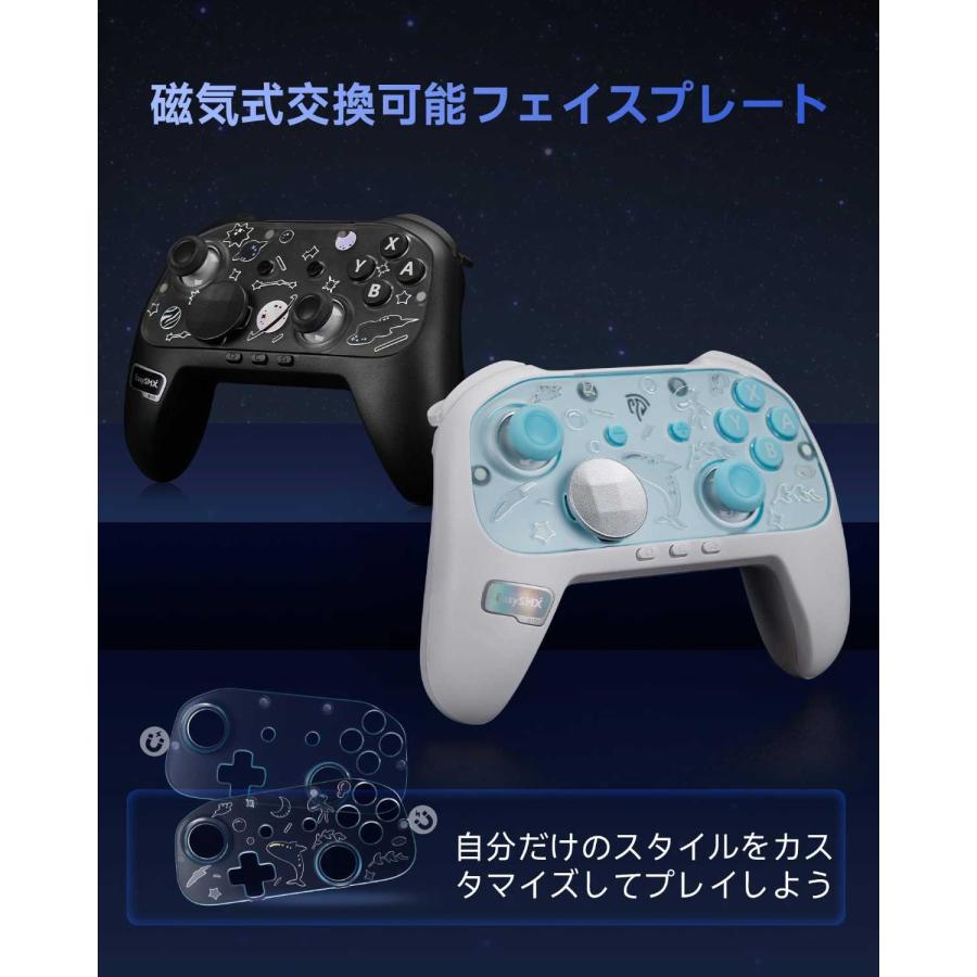 Nintendo Switch 2 Switch/ Steam Deck / iOS Android PC 対応