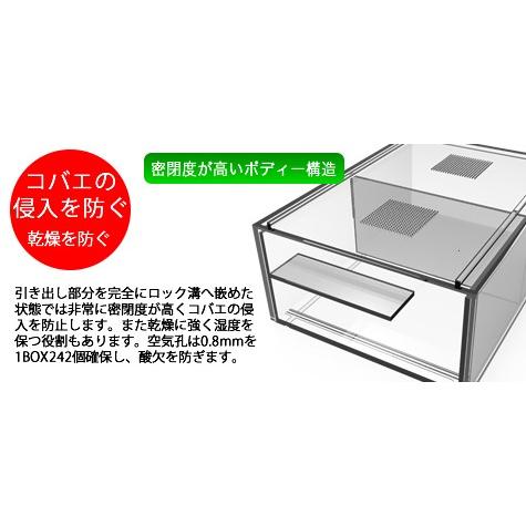 DFかぶくわ☆次世代昆虫飼育用クリアケース☆Z-COM小サイズ(小型種用）｜df-kabukuwashrimp｜02