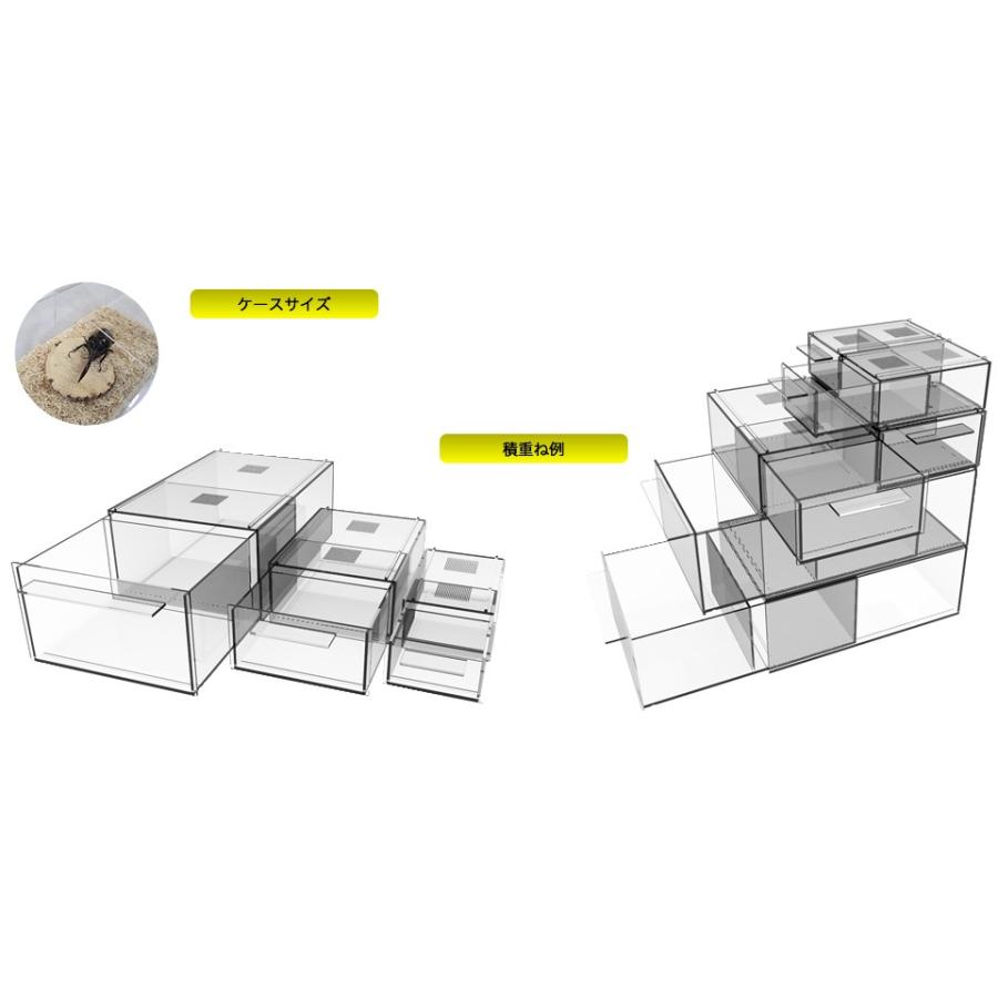 DFかぶくわ☆次世代昆虫飼育用クリアケース☆Z-COM小サイズ(小型種用）｜df-kabukuwashrimp｜05