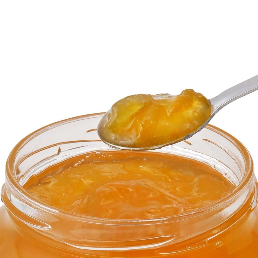 アンズジャム1kg お徳用 0060 デイリーフーズオンラインショップ 通販 Yahoo ショッピング