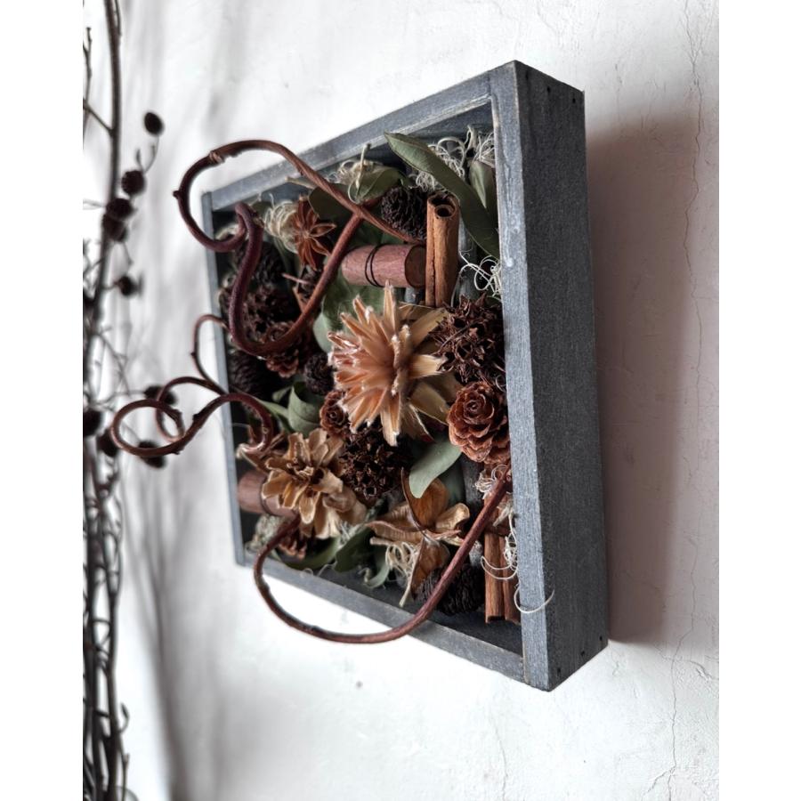 専用感謝Sale＊ドイツトウヒドライスワッグ＆コットンと木の実ドライボトル 専用感謝Sale＊ドイツトウヒドライスワッグ＆コットンと木の実ドライ