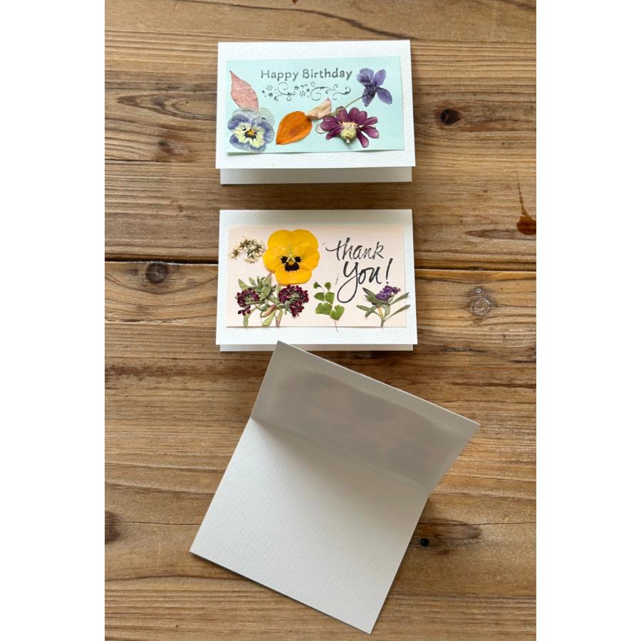 押し花のメッセージカード  贈り物に添えるだけで、心のこもった特別な一枚 |  | 01