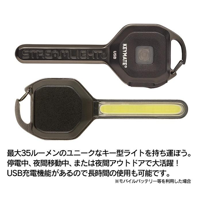 tamimoon 鍵型USB&ルームキー tamimoon タミムーン ルームキー 鍵型USB