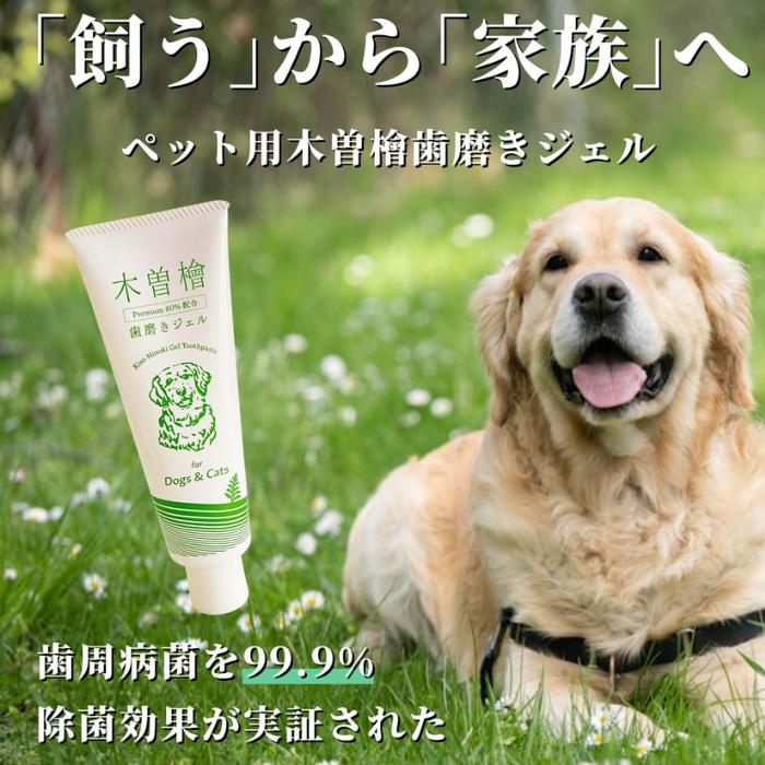 【2本セット】ペット用木曽檜歯磨きジェル120g 木曽檜歯磨きジェル ペット用 120g 歯磨き粉 天然 歯周病 日本製 はみがき粉 予防ケア 木曽ひのき 口腔ジェル_1