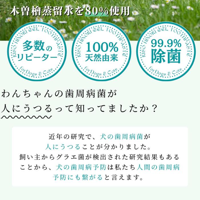 【2本セット】ペット用木曽檜歯磨きジェル120g 木曽檜歯磨きジェル ペット用 120g 歯磨き粉 天然 歯周病 日本製 はみがき粉 予防ケア 木曽ひのき 口腔ジェル_2