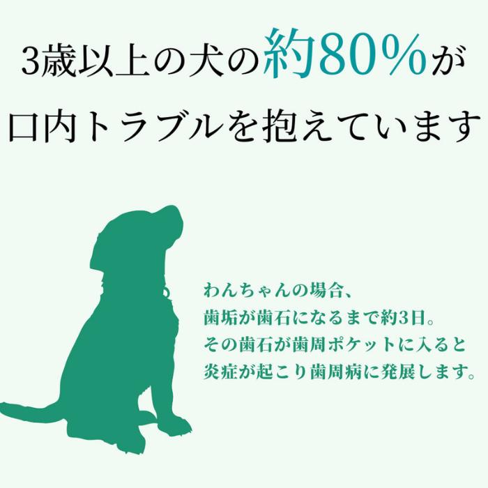 【2本セット】ペット用木曽檜歯磨きジェル120g 木曽檜歯磨きジェル ペット用 120g 歯磨き粉 天然 歯周病 日本製 はみがき粉 予防ケア 木曽ひのき 口腔ジェル_3
