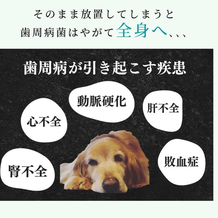 【2本セット】ペット用木曽檜歯磨きジェル120g 木曽檜歯磨きジェル ペット用 120g 歯磨き粉 天然 歯周病 日本製 はみがき粉 予防ケア 木曽ひのき 口腔ジェル_4