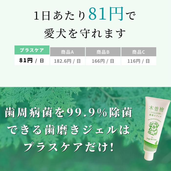 【2本セット】ペット用木曽檜歯磨きジェル120g 木曽檜歯磨きジェル ペット用 120g 歯磨き粉 天然 歯周病 日本製 はみがき粉 予防ケア 木曽ひのき 口腔ジェル_6