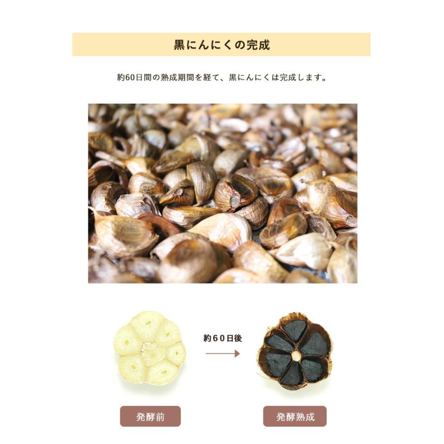 熟成発酵 濃縮 黒にんにくゼリー おいしい 臭わない 16.5gx56包 熟成発酵 濃縮 黒にんにくゼリー おいしい 臭わない 16.5gx56包