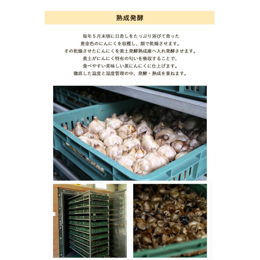 J.ノリツグ 熟成発酵 濃縮 黒にんにくゼリーα (アルファ) 亜鉛入り