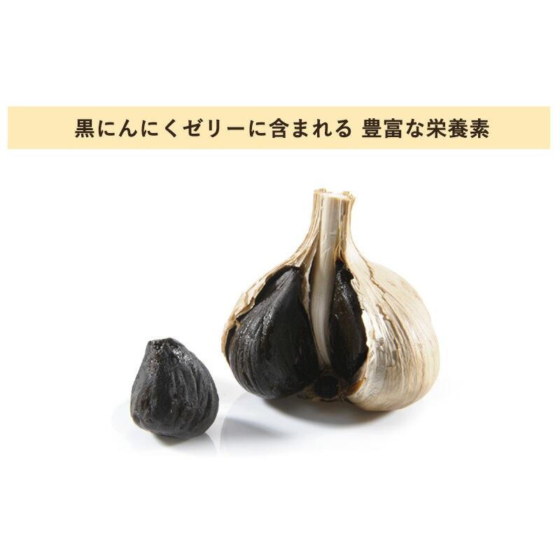 熟成発酵 濃縮 黒にんにくゼリーα (アルファ) 亜鉛入り おいしい