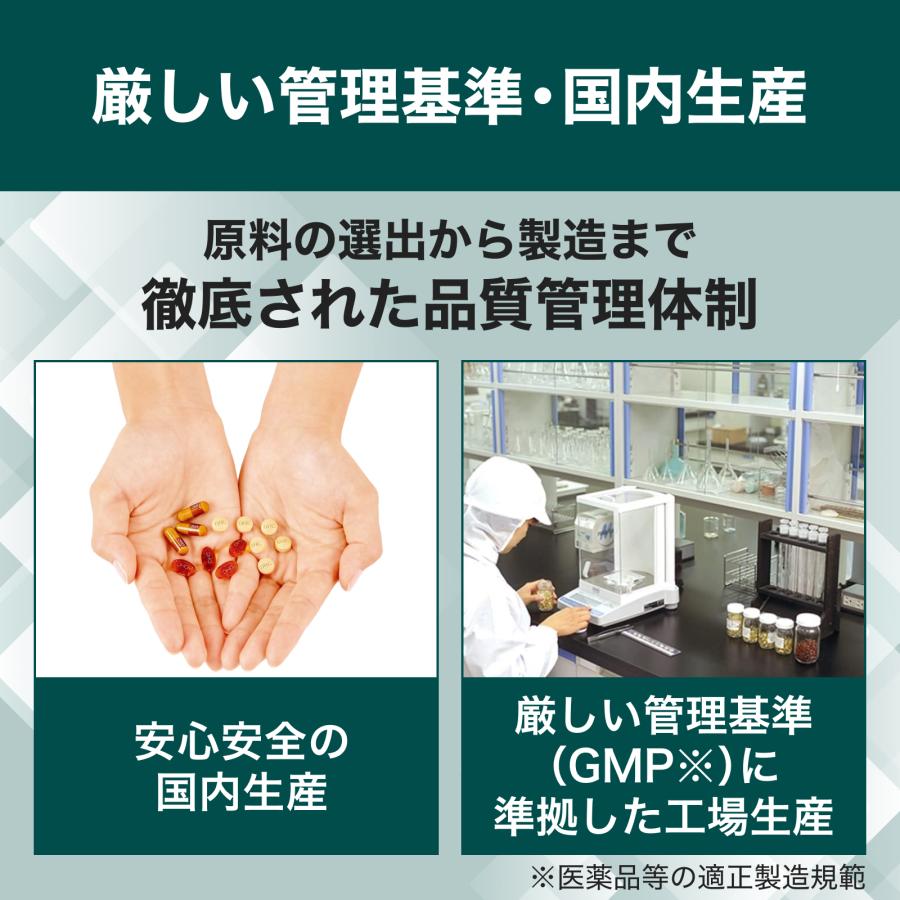 DHC ピクノジェノール -PB 30日分 公式 最短即時発送 | サプリ