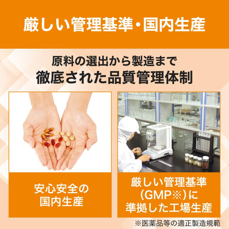 DHC ダイエットパワー 30日分 公式 最短即時発送 | BCAA カルニチン α