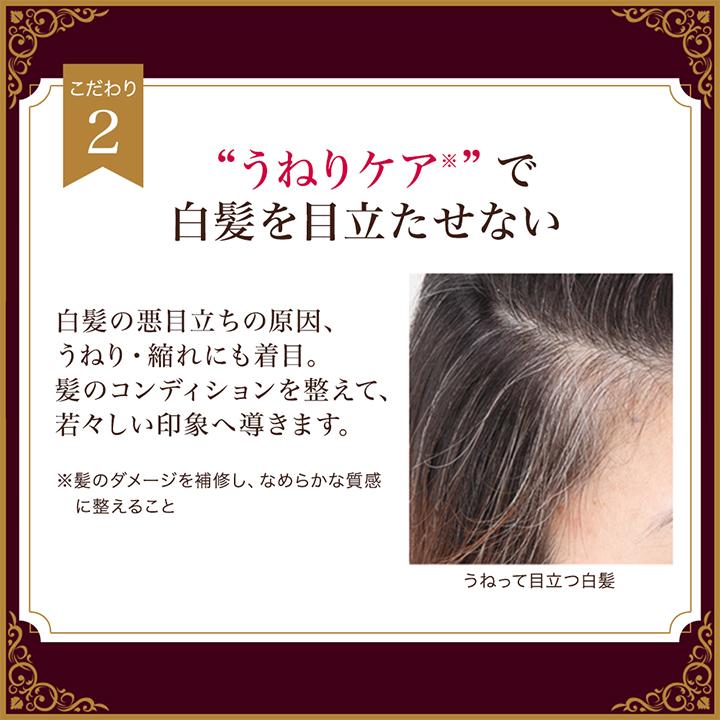 DHC Q10プレミアムカラートリートメント ブラックブラウン DHC