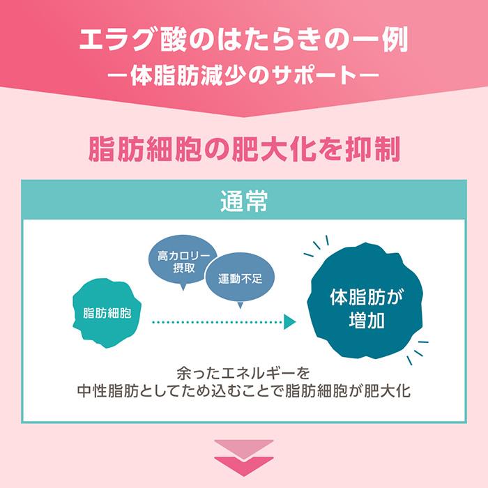 DHC ウエスト気になる 30日分 機能性表示食品 公式 最短即時発送