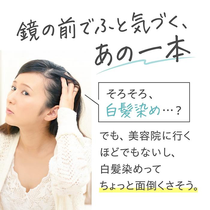 DHC 白髪染め 【 DHC 公式 】DHC Q10プレミアムカラートリートメント