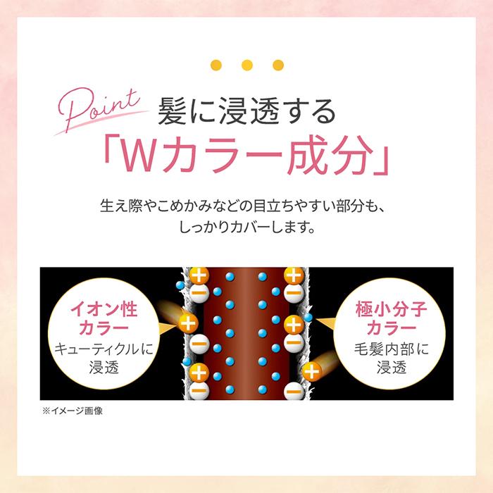 DHC 白髪染め 【 DHC 公式 】DHC Q10プレミアムカラートリートメント