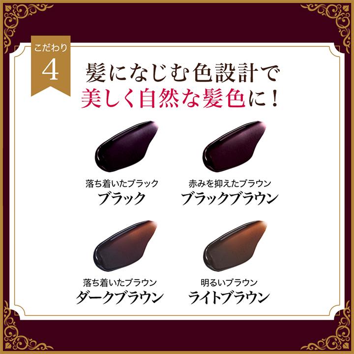 DHC 白髪用カラートリートメント ブラック 5本セット DHC 白髪用カラートリートメント ブラック 5本セット DHC Q10