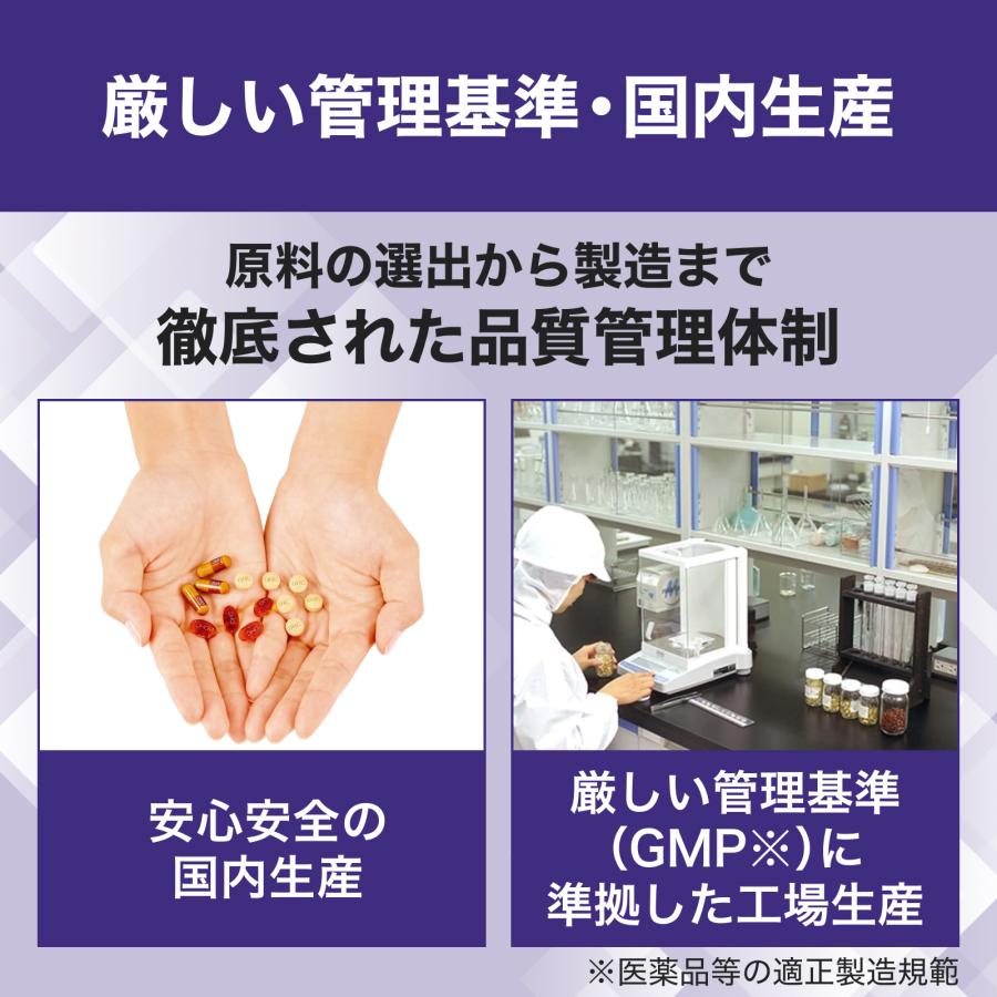 DHC 速攻 ブルーベリー 30日分 公式 | サプリメント サプリ 目 : DHC