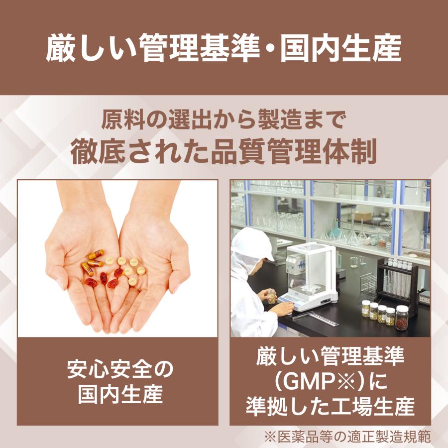 ココア74袋 DHC プロテインダイエット DHC ダイエット食品 【 DHC 公式 】DHCプロティンダイエット ココア味