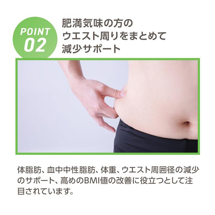DHC ウエスト気になる 30日分 機能性表示食品 公式 最短即時発送 DHC ウエスト気になる 30日分 機能性表示食品 公式 最短即時発送