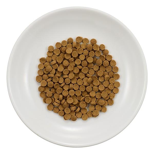 DHC 【 DHC 公式 】犬用 国産生肉使用の贅沢ごはん カリカリタイプ
