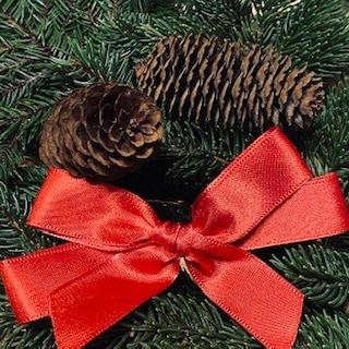 ドイツトウヒのフレッシュリース&スワッグ 本場のドイツトウヒ