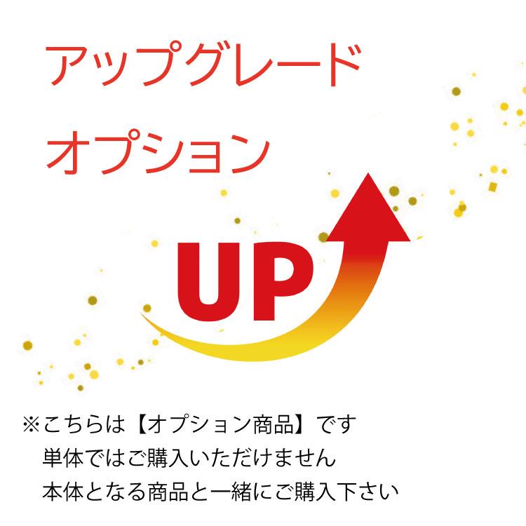 upgrade2