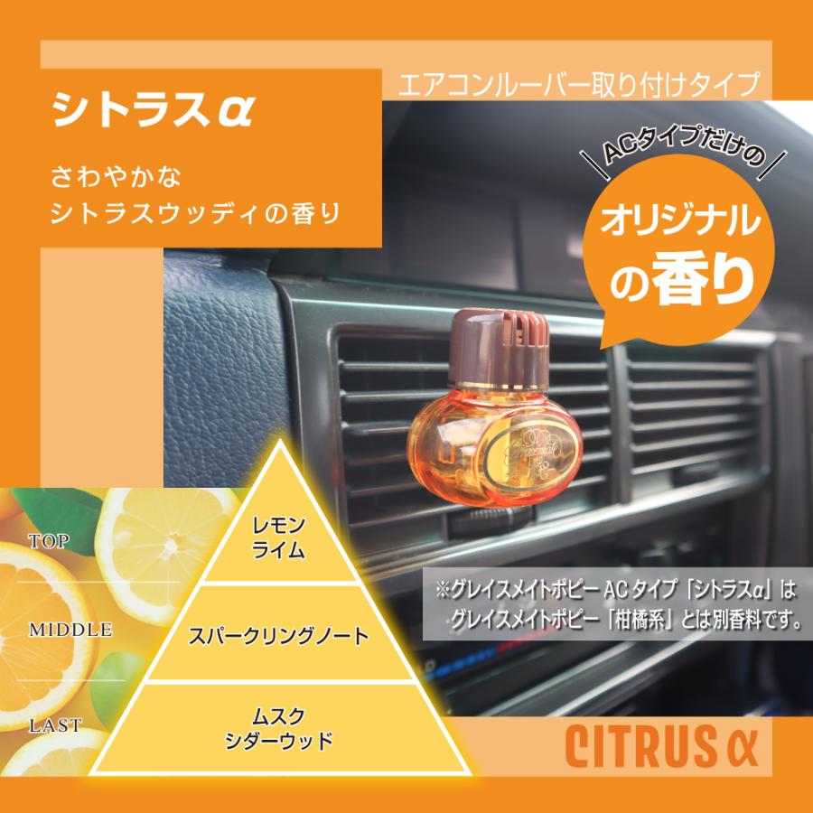 ダイヤケミカル 【つけかえ用 (本体は別売り)】【2個入り】グレイス