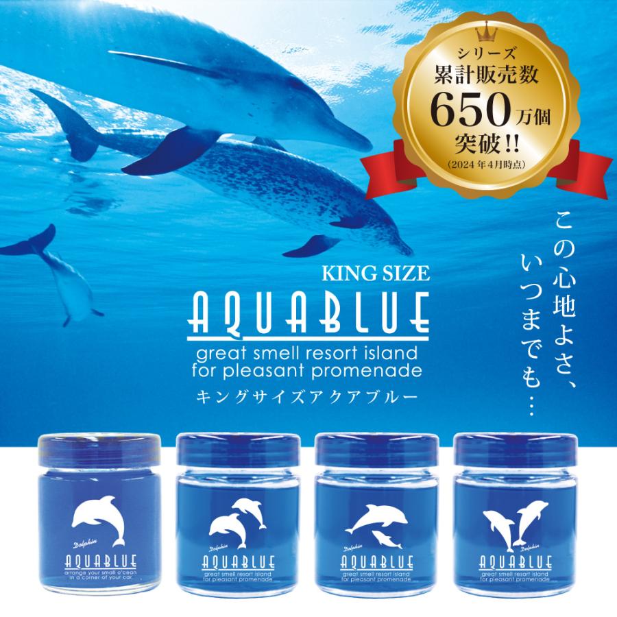 ダイヤケミカル キングサイズアクアブルー /フルーティスカッシュ 商品